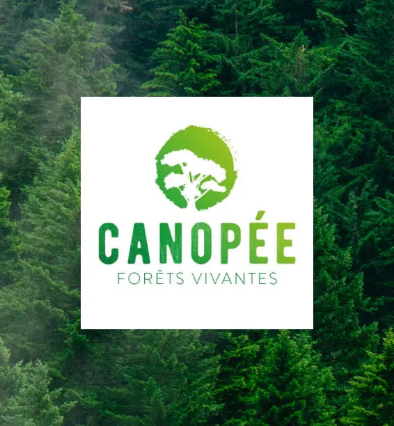 Canopee -