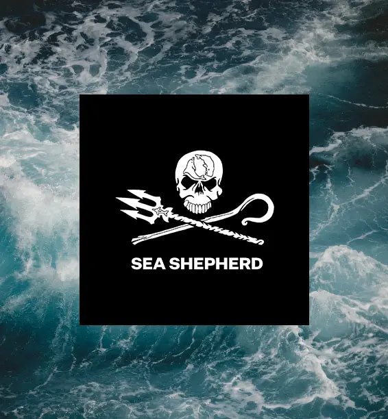 Sea Sheperd -